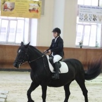 Чемпионат Москвы по конному спорту